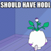 1793286925999.gif