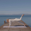 1793302843553.gif