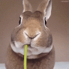 1793345933186.gif