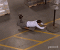 1793359446620.gif