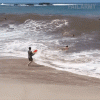 1793424796793.gif 1793424796793.gif