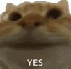 1000171168.gif 1000171168.gif