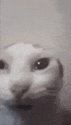 1000171170.gif 1000171170.gif