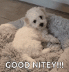 1793475412656.gif