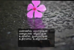 1642802372634.png