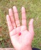IMG_20200623_175029.jpg