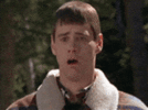 8bf8bd8116bc9549d445914b025f70db06da03494e84cdbf6816f62fb22868f2.0.GIF