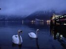 IMG_20191227_164645.jpg