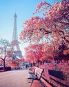 paris-wallpaper-idlewp-4.jpg