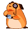 download_20220521_205158.gif