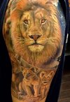 lion-tattoos-39.jpg