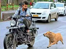 ei-samay (1).jpg ei-samay (1).jpg