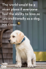 ghk-dog-quotes-m-k-clinton-1543942193.png