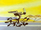 wile-coyote.gif