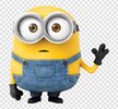 images (74).jpeg