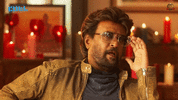 pettagifs-sunpictures.gif