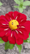 besos-flower.gif