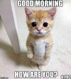 user1423167_b73bb2df8c2d.jpeg