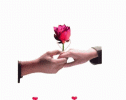 bff192da2fb65238a050a3f1fe2b97f8.gif