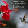 Best-Beautiful-Quotes-on-morning-1024x1024.jpg