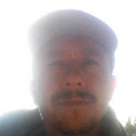 ferny3