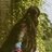 Thaara