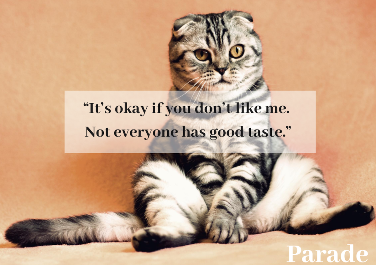 sarcastic-quotes-2.png