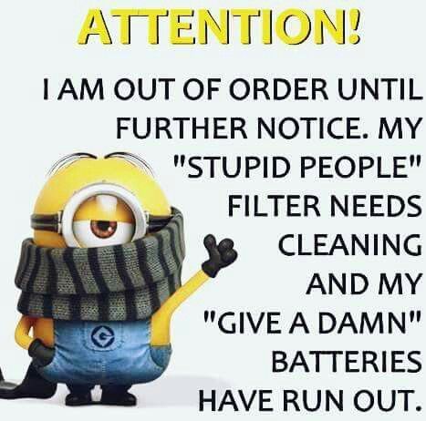 2dd84490e04eac18ade98a1b3be66cb4--minion-meme-minions-quotes.jpg