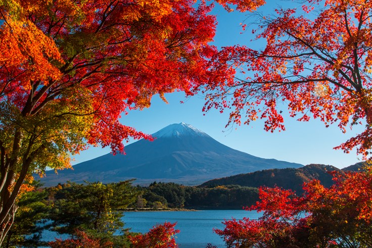 random-japan-fact.jpg