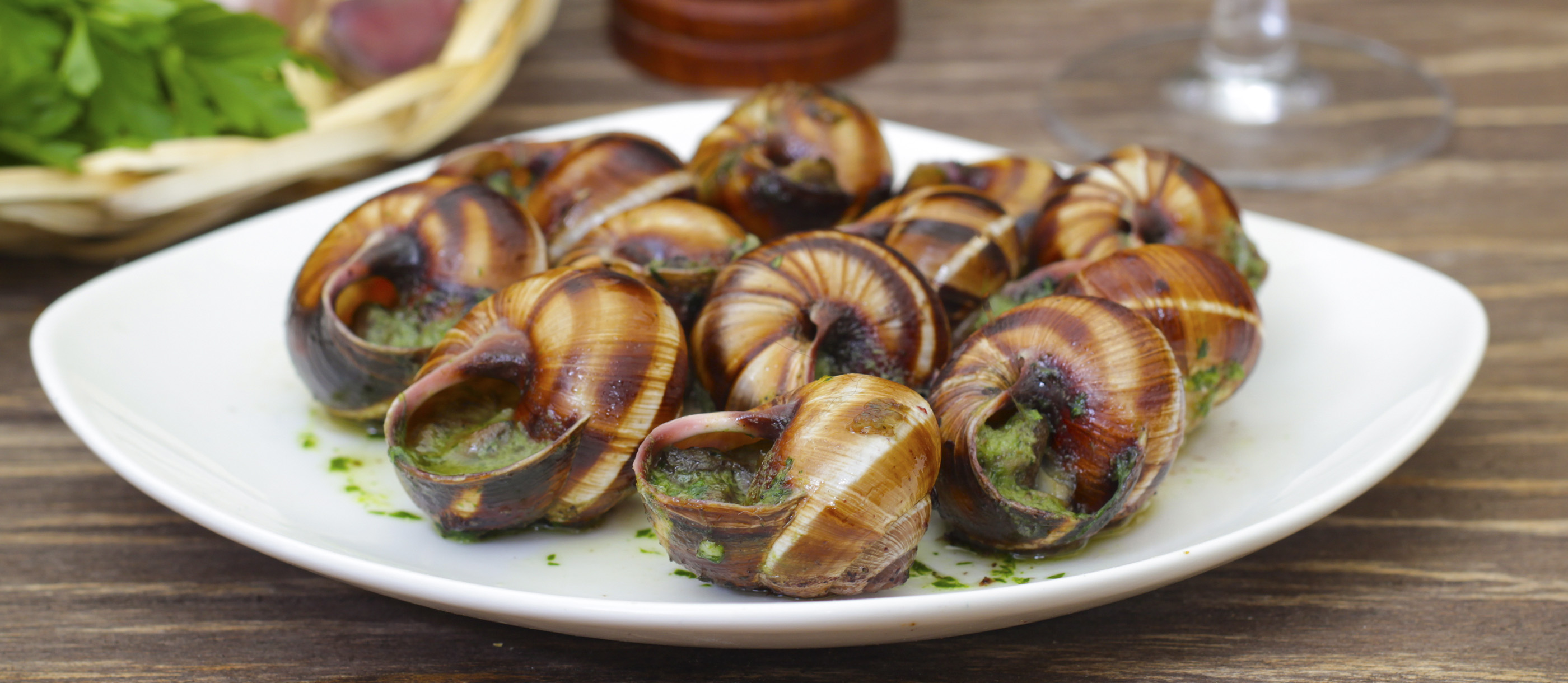 Escargot | Traditional Snail Dish From France