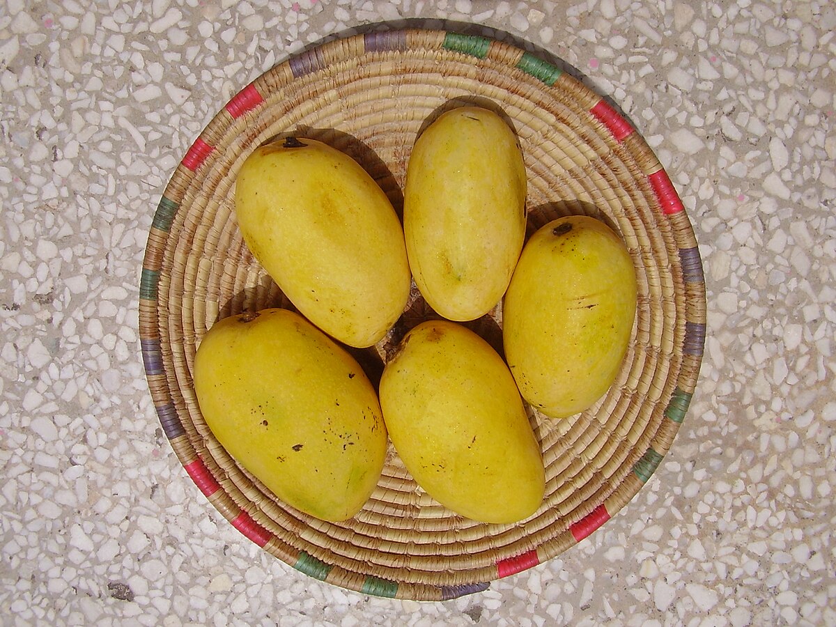 1200px-Chaunsa.JPG