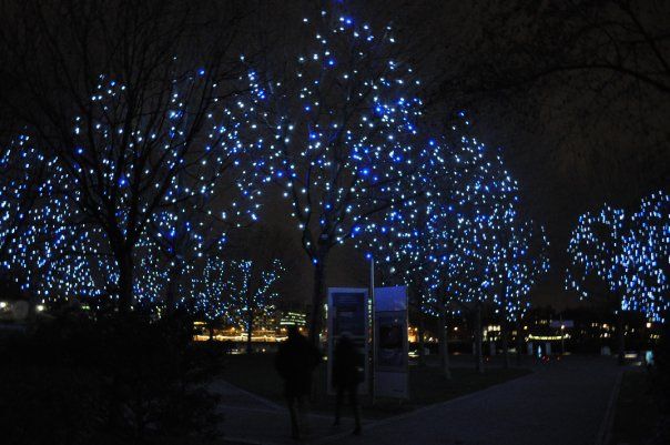 lights_zpso6dbvvlp.jpg