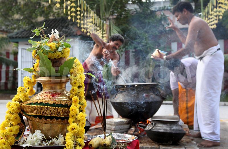 1389687318-thai-pongal-sri-lanka-hindu-festival_3671318.jpg